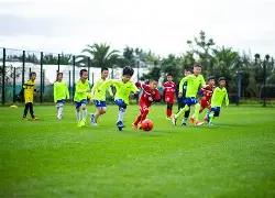 金果飘香,福彩,期独胆秘籍,广东体彩,广东体彩网,广东体彩网官网,体育彩票,体彩大乐透,竞彩足球,体彩公益