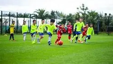 【彩市风向标】双色球2026012期独门秘籍，黄金杀六码策略大揭秘！