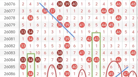 排列五第2026056期小天后预测及杀码推荐