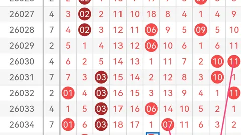 第2026060期 大乐透2026060期专家推荐：质合分析